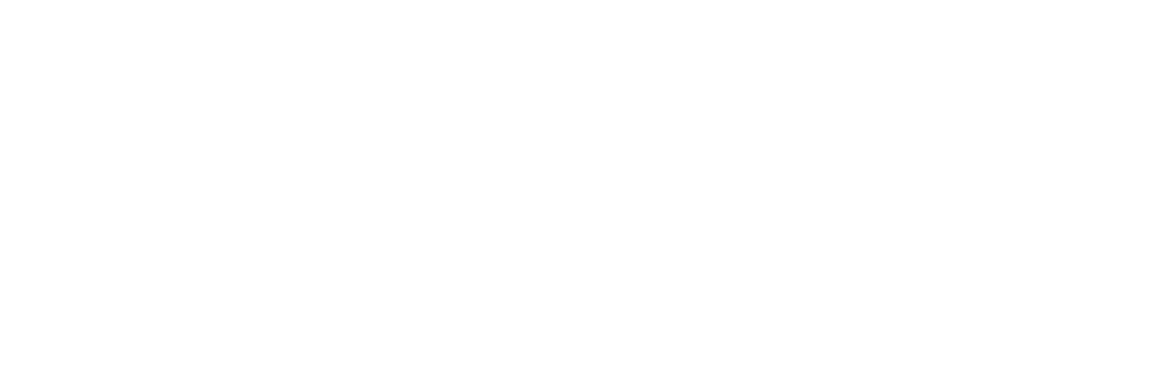 ORGANIZER'S VISION